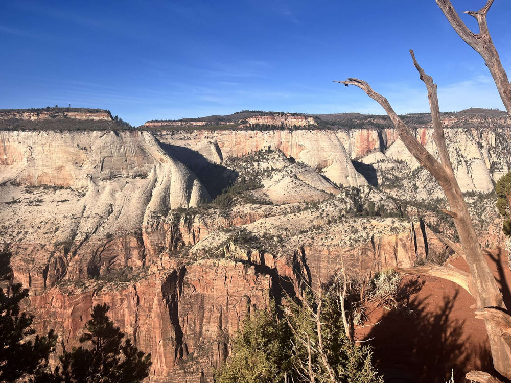 Rocky canyon landscape under clear blue sky.