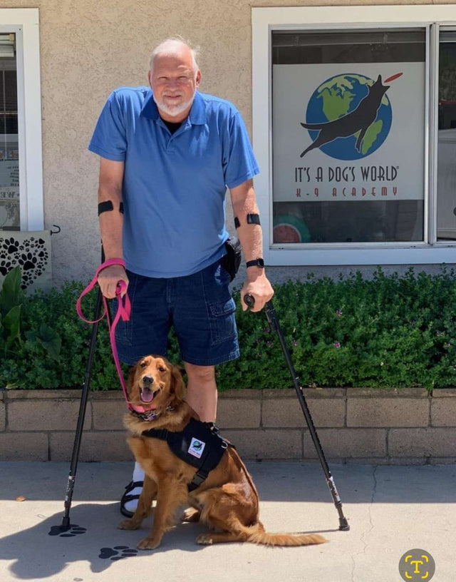 Best Crutches for Long-Term Use: Comfort, Durability, and Style