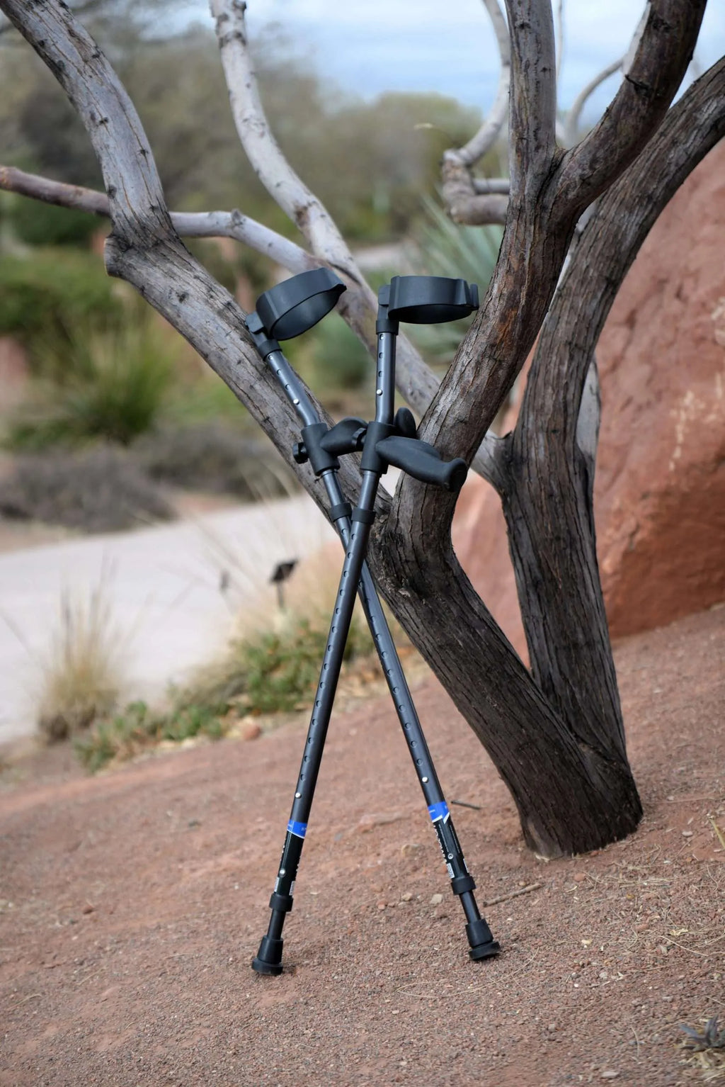 Two black crutches leaning against a tree.