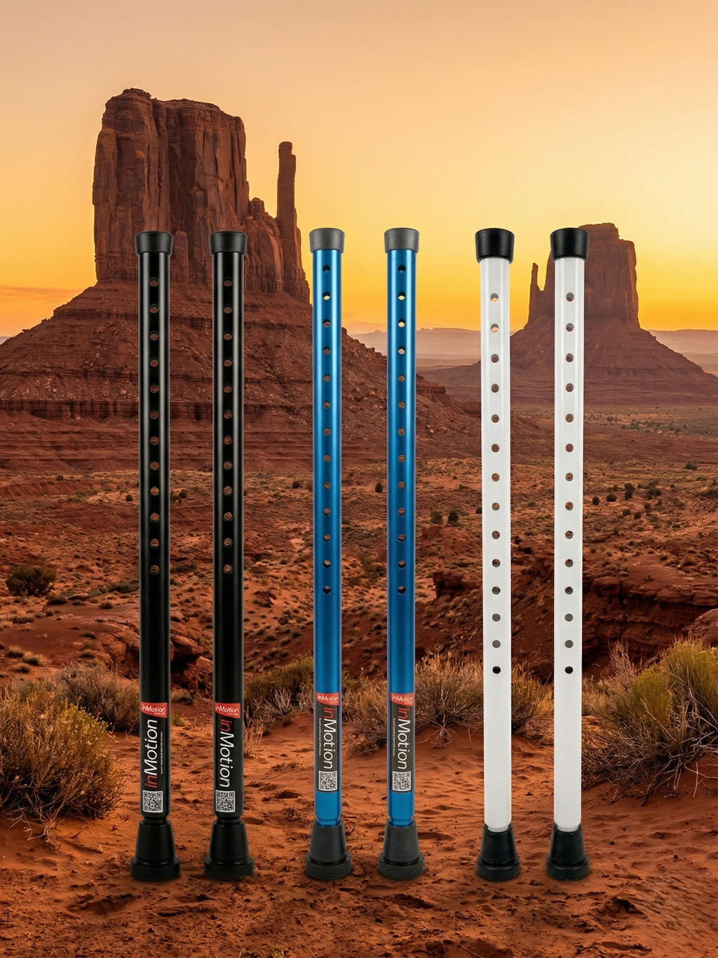 Five walking sticks in a desert landscape