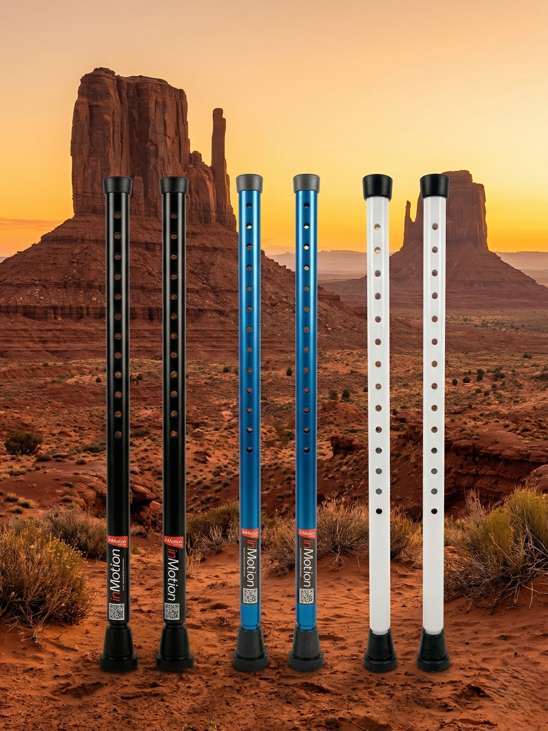 Five walking sticks in a desert landscape