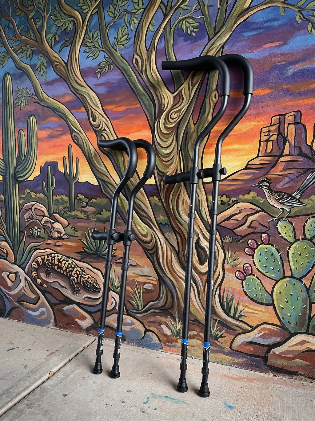 Two hiking poles against desert mural